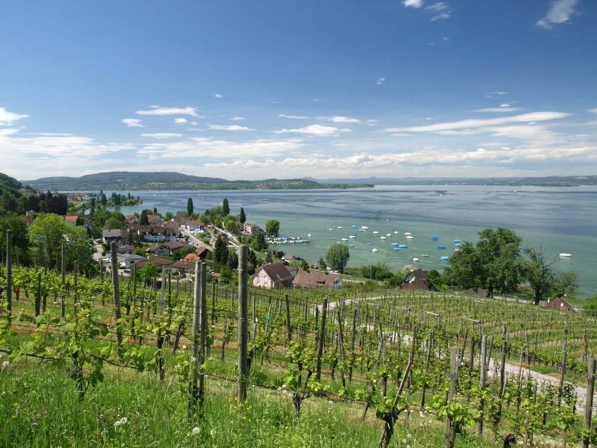 c.Sven_Schulz_P5175098.JPG
